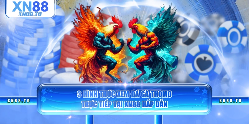 3 hình thức xem đá gà Thomo trực tiếp tại XN88 hấp dẫn