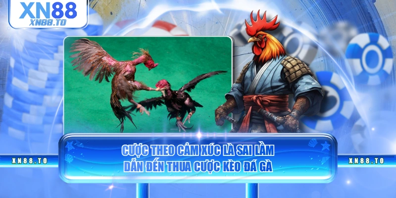 Cược theo cảm xúc là sai lầm dẫn đến thua cược kèo đá gà