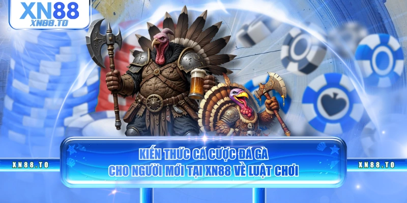 Kiến thức cá cược đá gà cho người mới tại XN88 về luật chơi