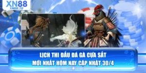 Lịch Thi Đấu Đá Gà Cựa Sắt Mới Nhất Hôm Nay Cập Nhật 30/4